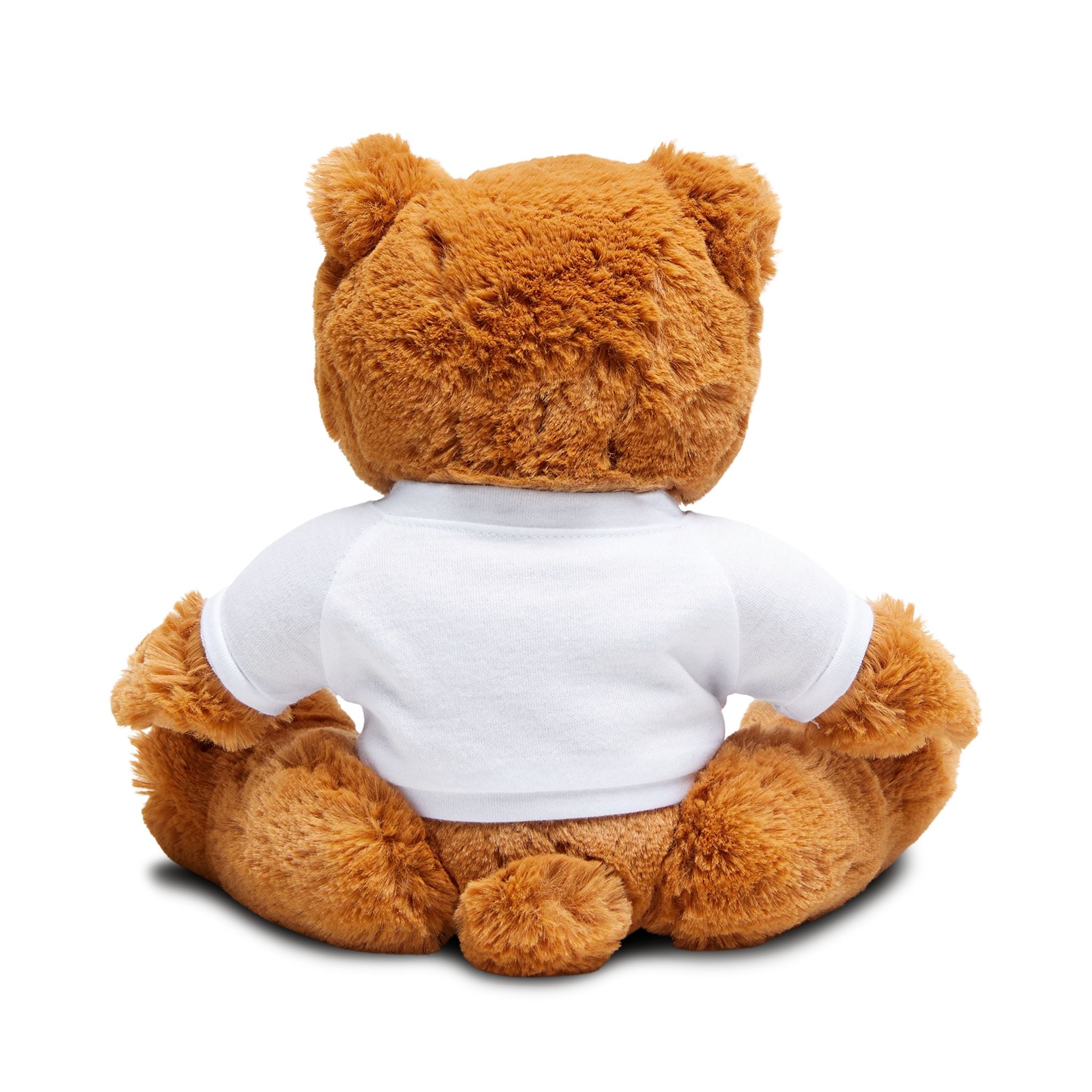 Personalised long distance teddy bear shown in a cosy home setting