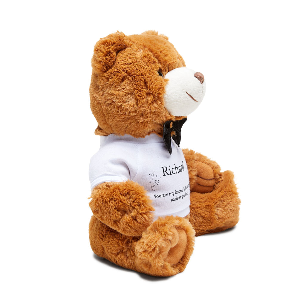 Long distance keepsake teddy bear seated on a shelf